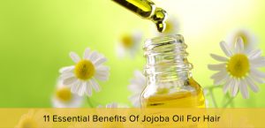 11 Essential Benefits Of Jojoba Oil For Hair - Health Food Store ...